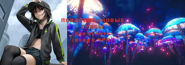 Альфа ПВП Алексеевка