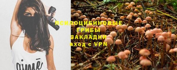 Альфа ПВП Алексеевка