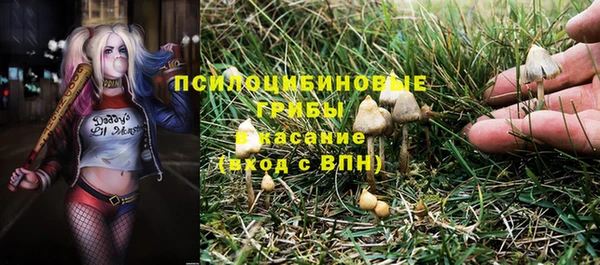каннабис Алексин