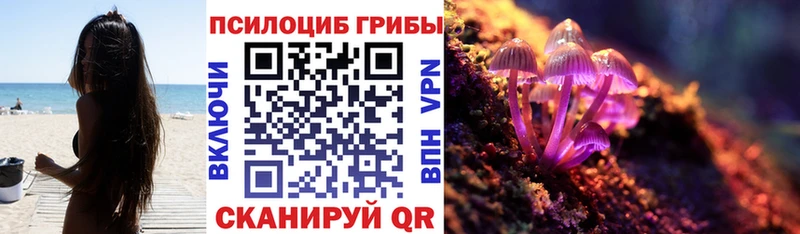 Галлюциногенные грибы GOLDEN TEACHER  Нефтекамск 