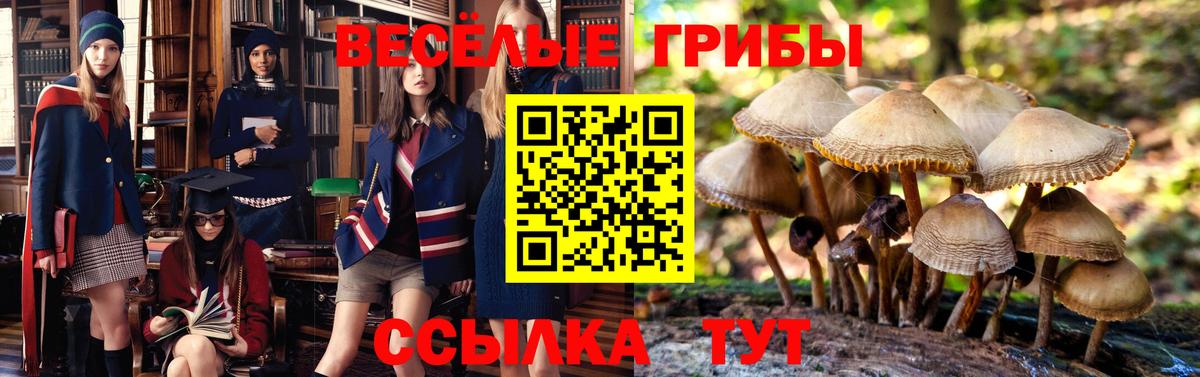 Псилоцибиновые грибы GOLDEN TEACHER  Вход с VPN  Нефтекамск  Галлюциногенные грибы Psilocybine cubensis 
