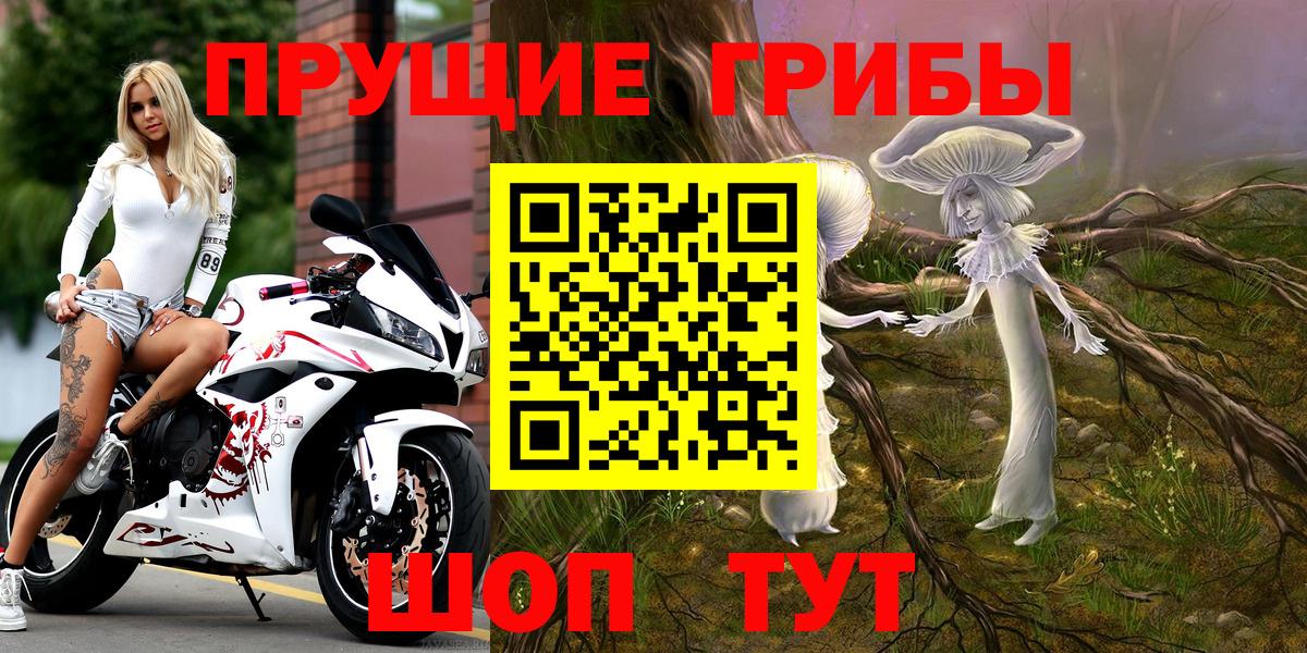 Галлюциногенные грибы Psilocybine cubensis Нефтекамск