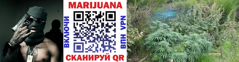 кракен онион  Нефтекамск  МАРИХУАНА SATIVA & INDICA  как найти  