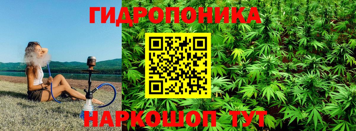 Бошки Шишки конопля  Каннабис White Widow  МАРИХУАНА планчик  Вход с VPN  Бошки Шишки AK-47  Нефтекамск 